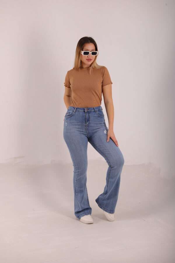 Charleston Jeans ( Ripped Ice ) - Image 12