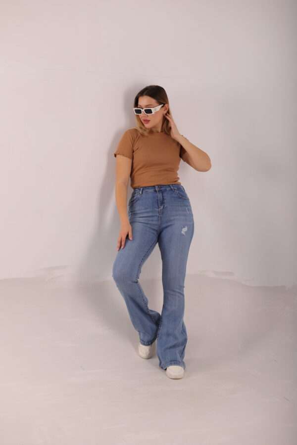 Charleston Jeans ( Ripped Ice ) - Image 9