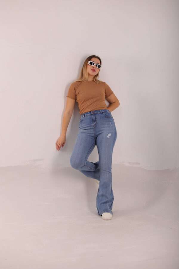 Charleston Jeans ( Ripped Ice ) - Image 8