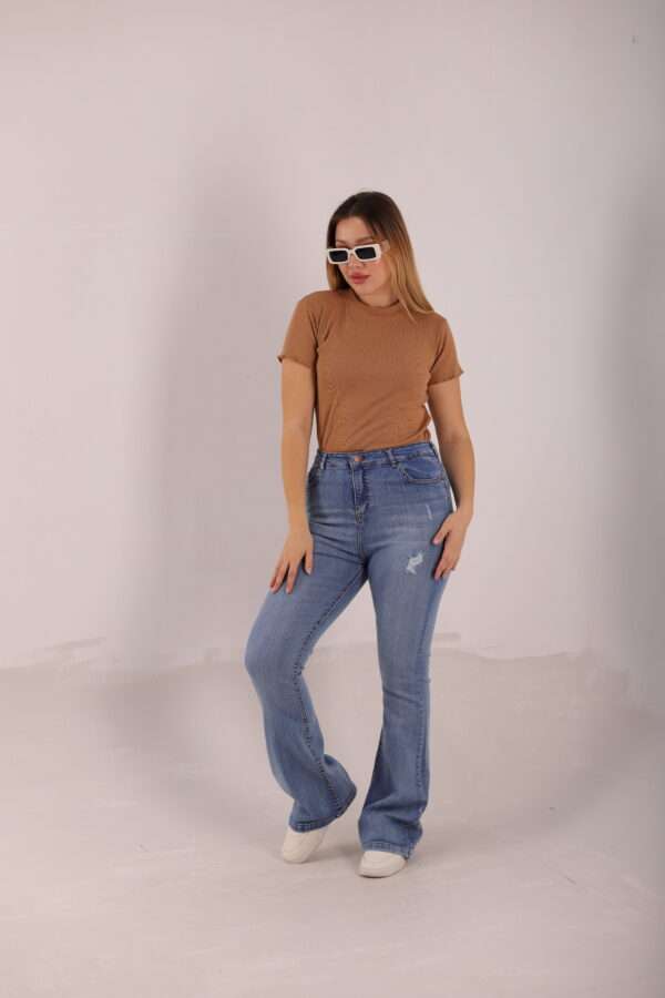 Charleston Jeans ( Ripped Ice ) - Image 5