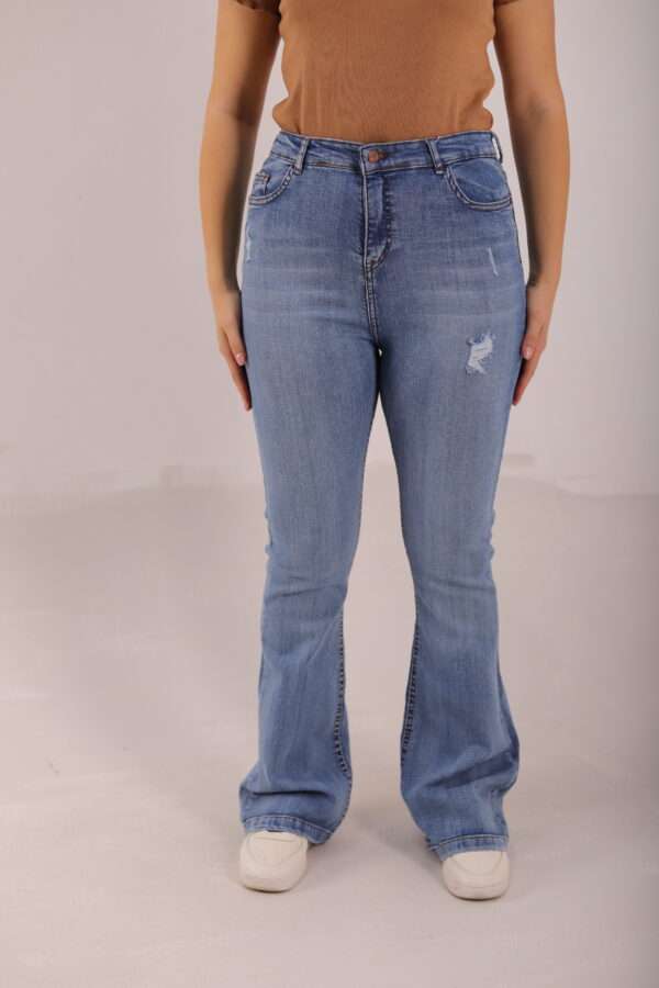 Charleston Jeans ( Ripped Ice )