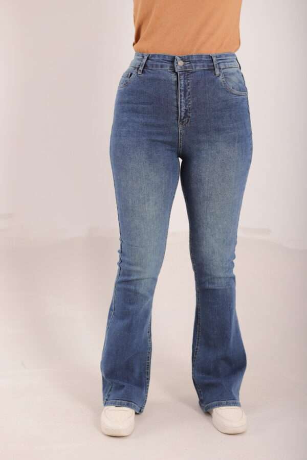 Charleston Jeans ( Tint )