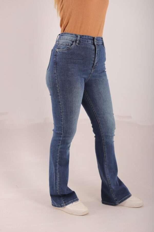 Charleston Jeans ( Tint ) - Image 3